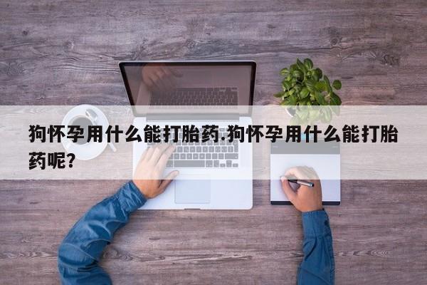 哪里有米索前列醇片狗怀孕用什么能打胎药.狗怀孕用什么能打胎药呢？