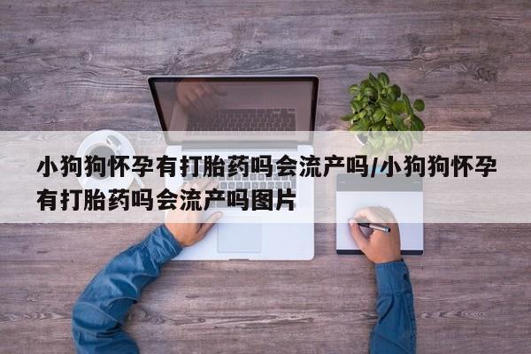 哪里有米索前列醇片小狗狗怀孕有打胎药吗会流产吗/小狗狗怀孕有打胎药吗会流产吗图片