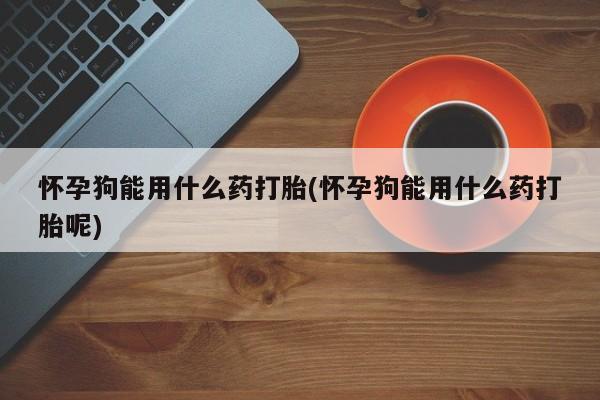 哪里有米索前列醇片怀孕狗能用什么药打胎(怀孕狗能用什么药打胎呢)